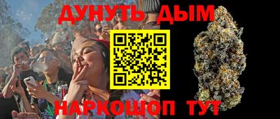 индика Коммунар