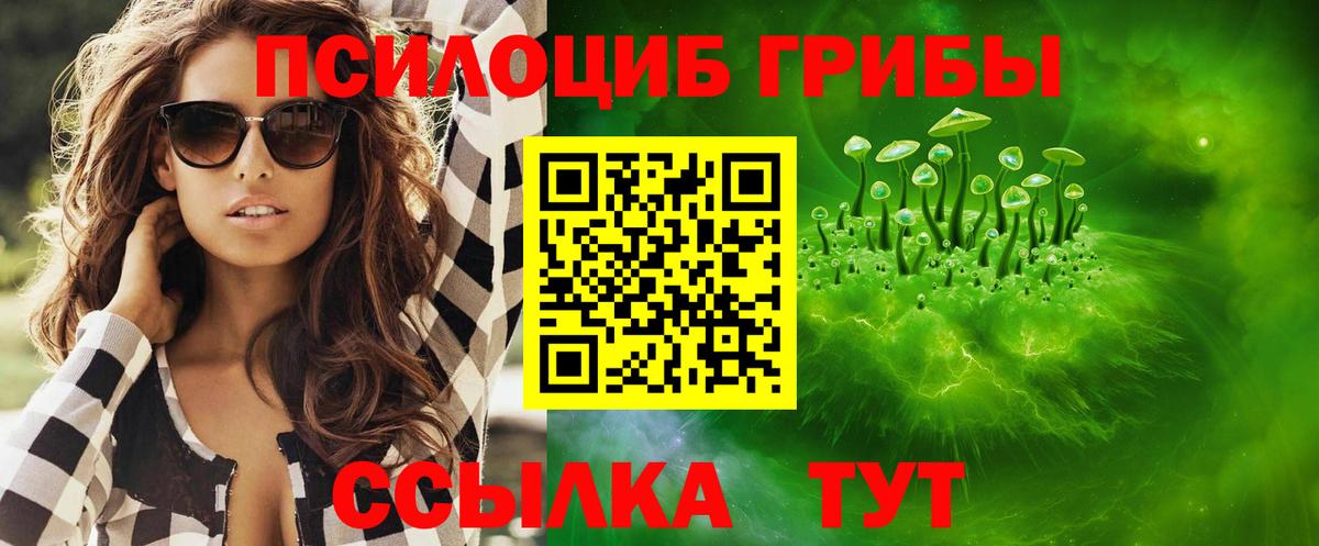 Псилоцибиновые грибы мицелий Кинель