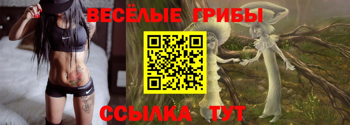 Кинель  Псилоцибиновые грибы прущие грибы  Вход с VPN 