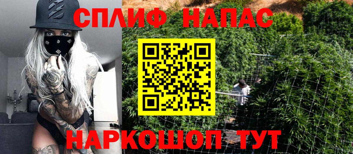 Канабис планчик Кинель